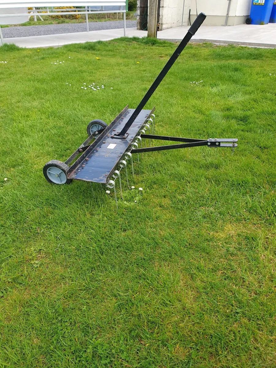 Lawn scarifier - Image 1