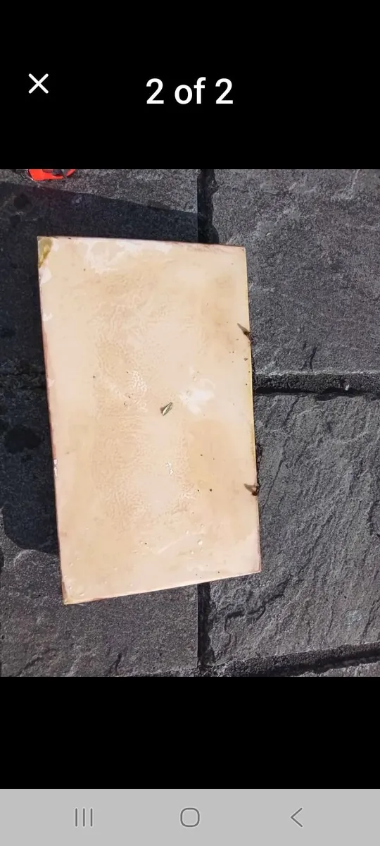 LAST SUPPER 19 INCHES BY 12 INCHES - Image 2