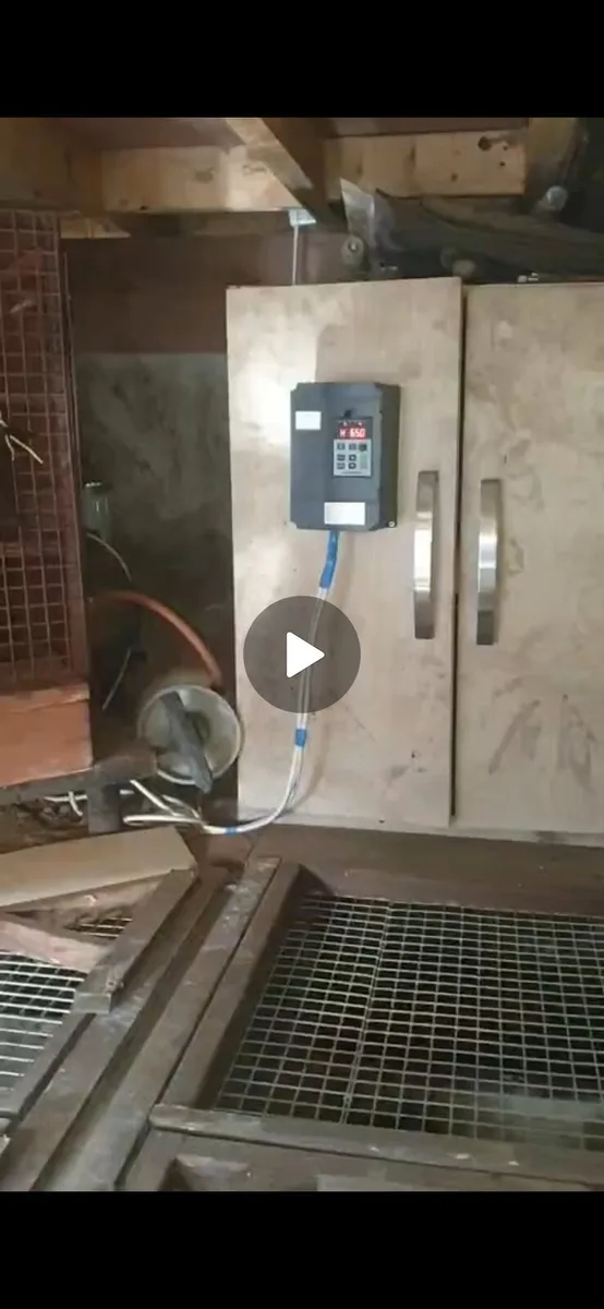 Dog treadmill - Image 1