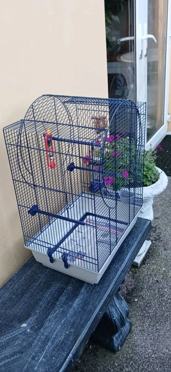 Bird cage - Image 4