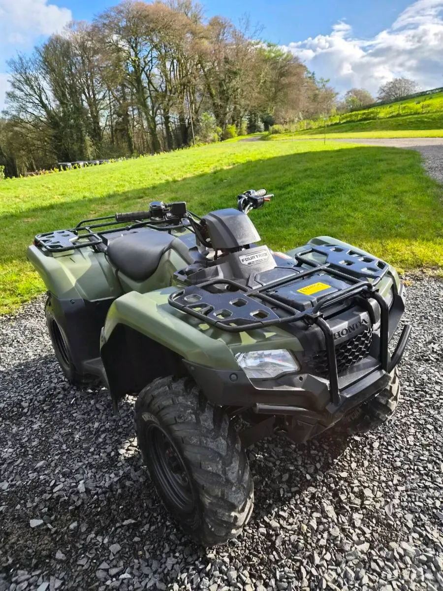 2020 Honda Trx420 FM2 - Image 1
