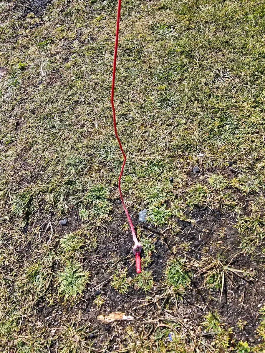 Duotone Rebel SLS 10m - Image 4