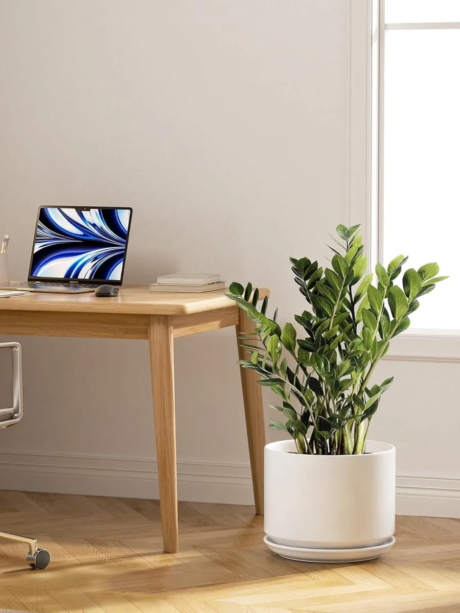 30 cm Plant Pot Large Ceramic Pots for Indoor - Image 4