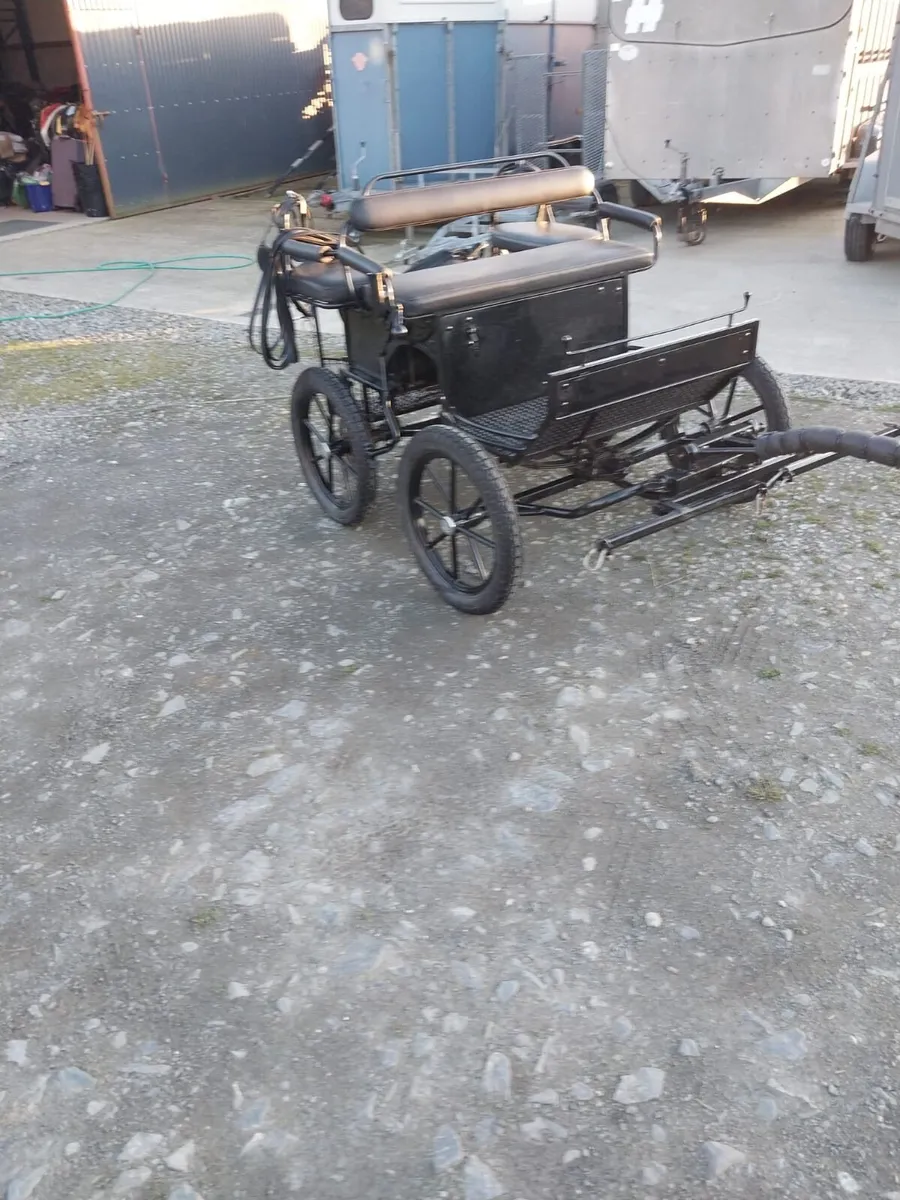 DUTCH CARRIAGE FOR SALE - Image 1