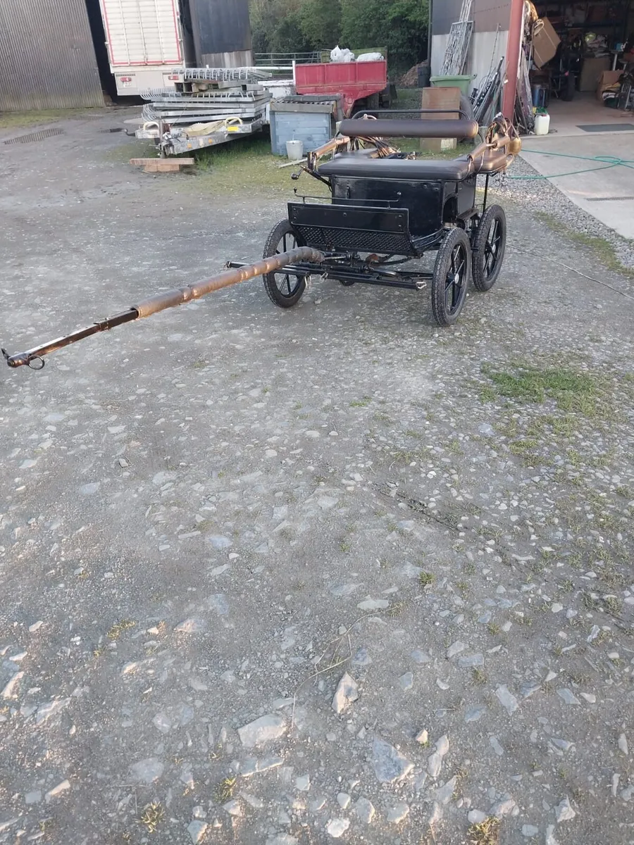 DUTCH CARRIAGE FOR SALE - Image 2
