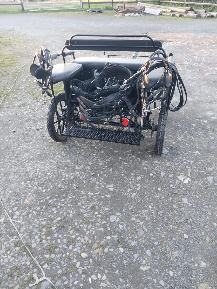 DUTCH CARRIAGE FOR SALE - Image 3