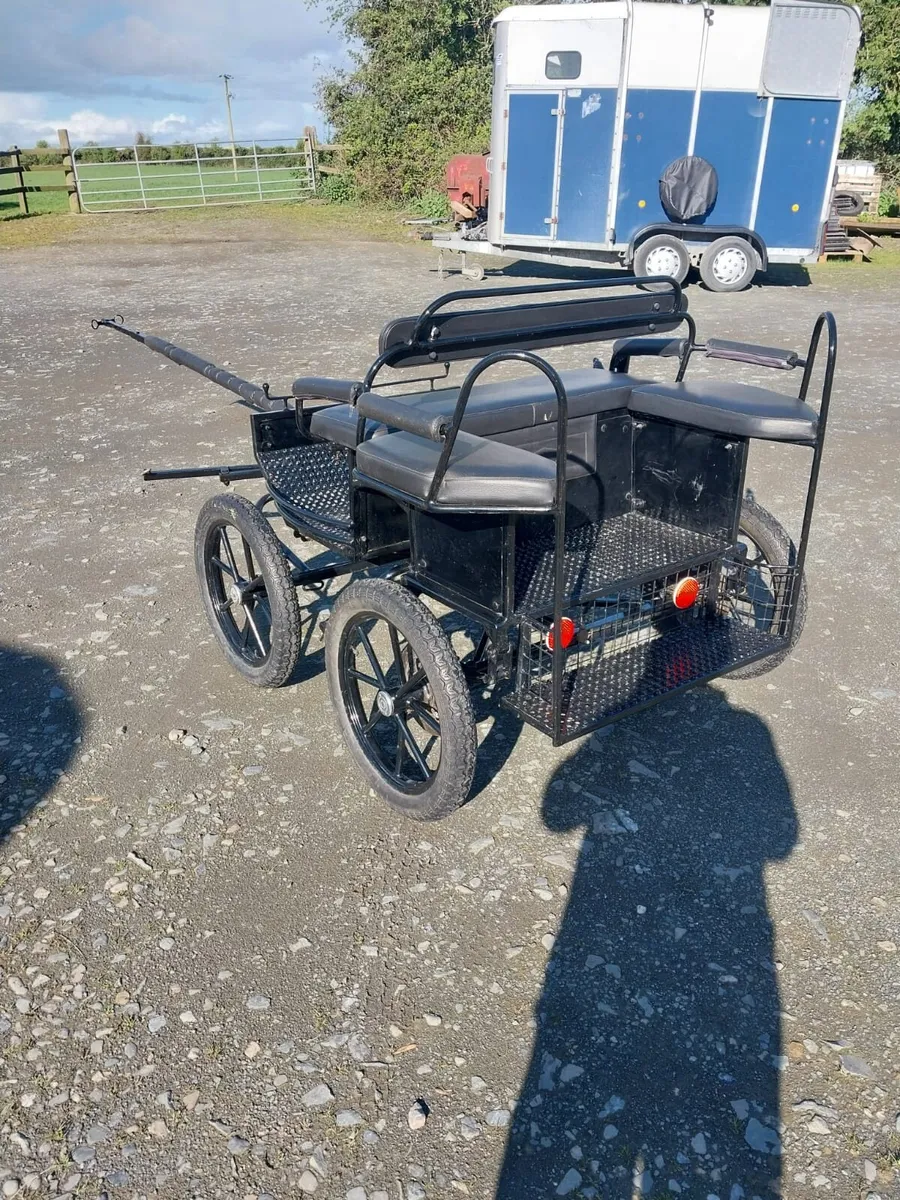 DUTCH CARRIAGE FOR SALE - Image 4