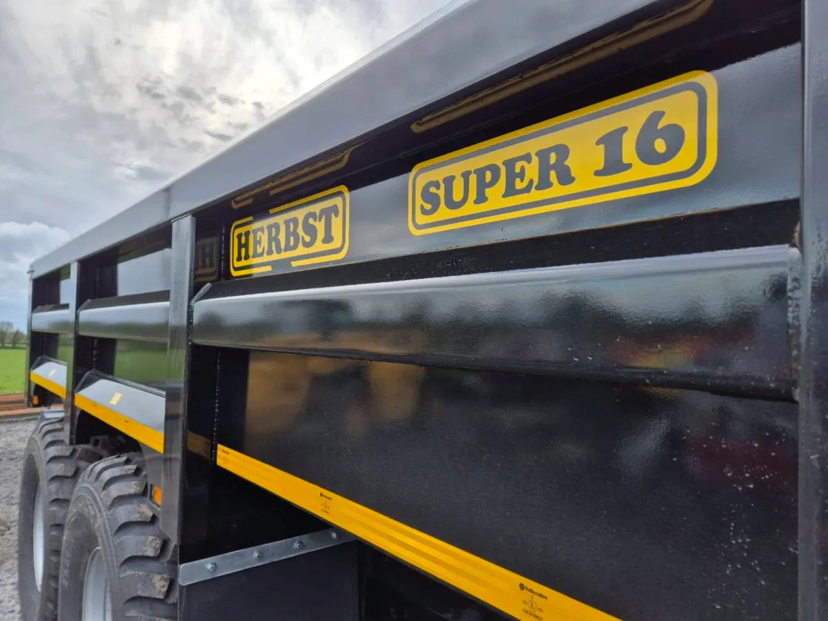 Herbst dump trailer - Image 2