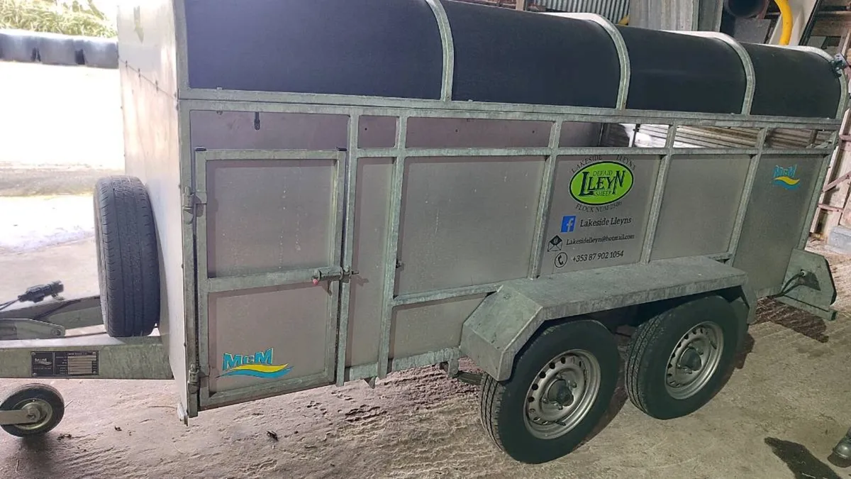 Low Profile Sheep/pig/calf trailer - Image 2