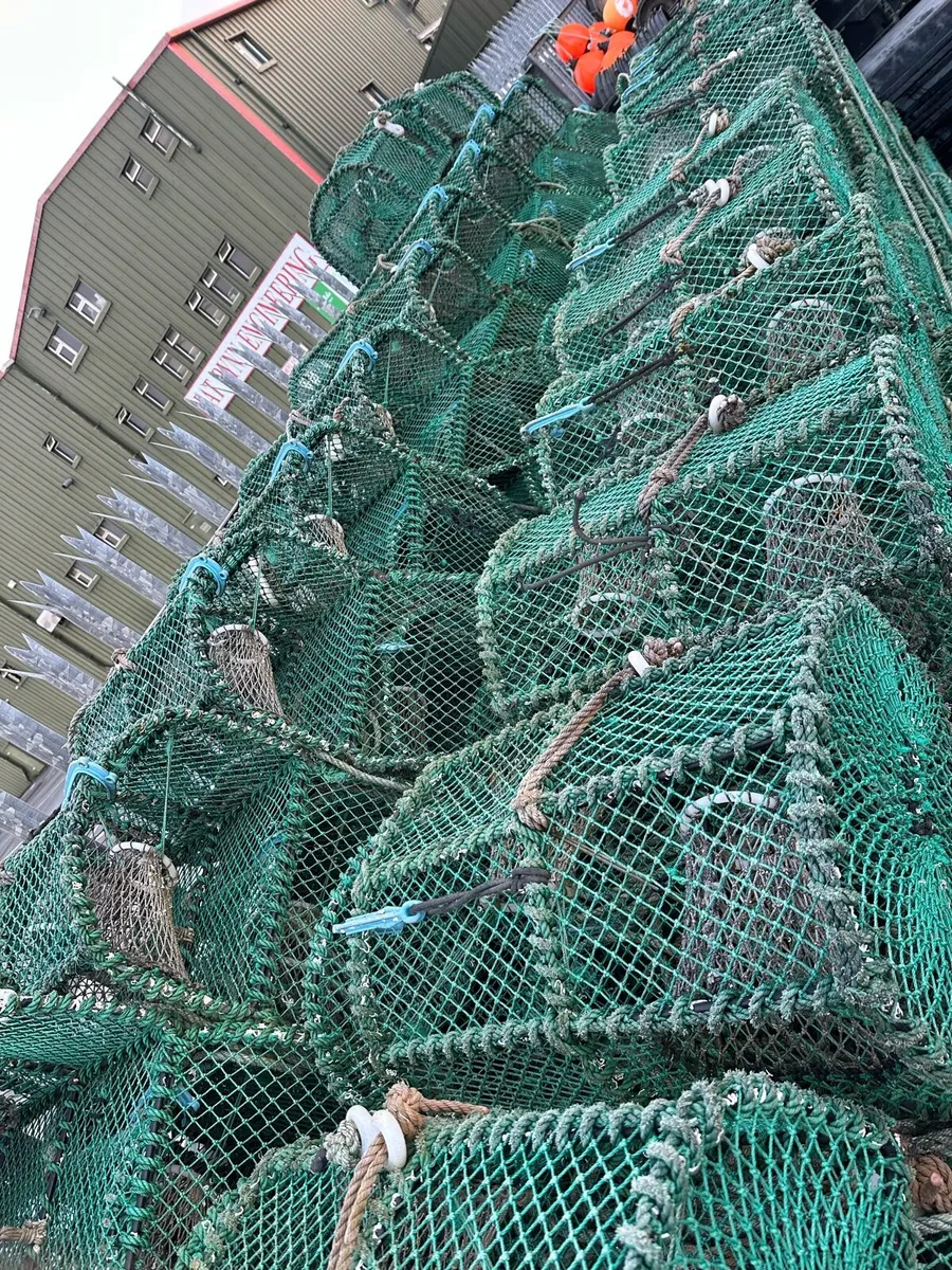 Prawn/velvet pots - Image 2