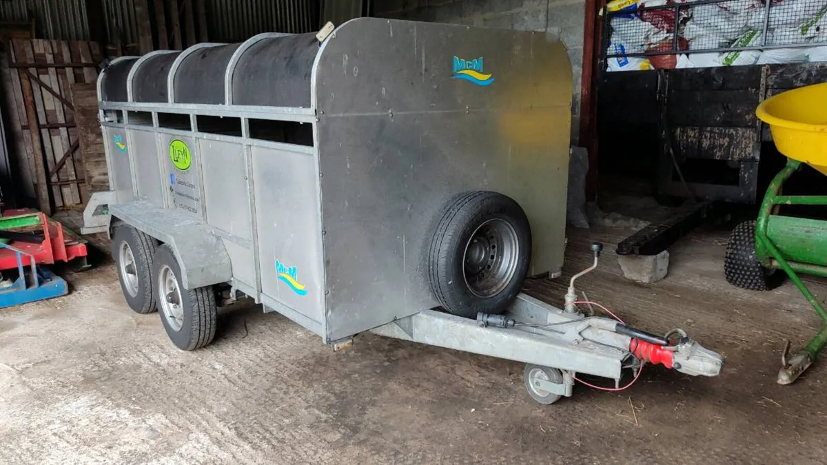 Low Profile Sheep/pig/calf trailer - Image 1