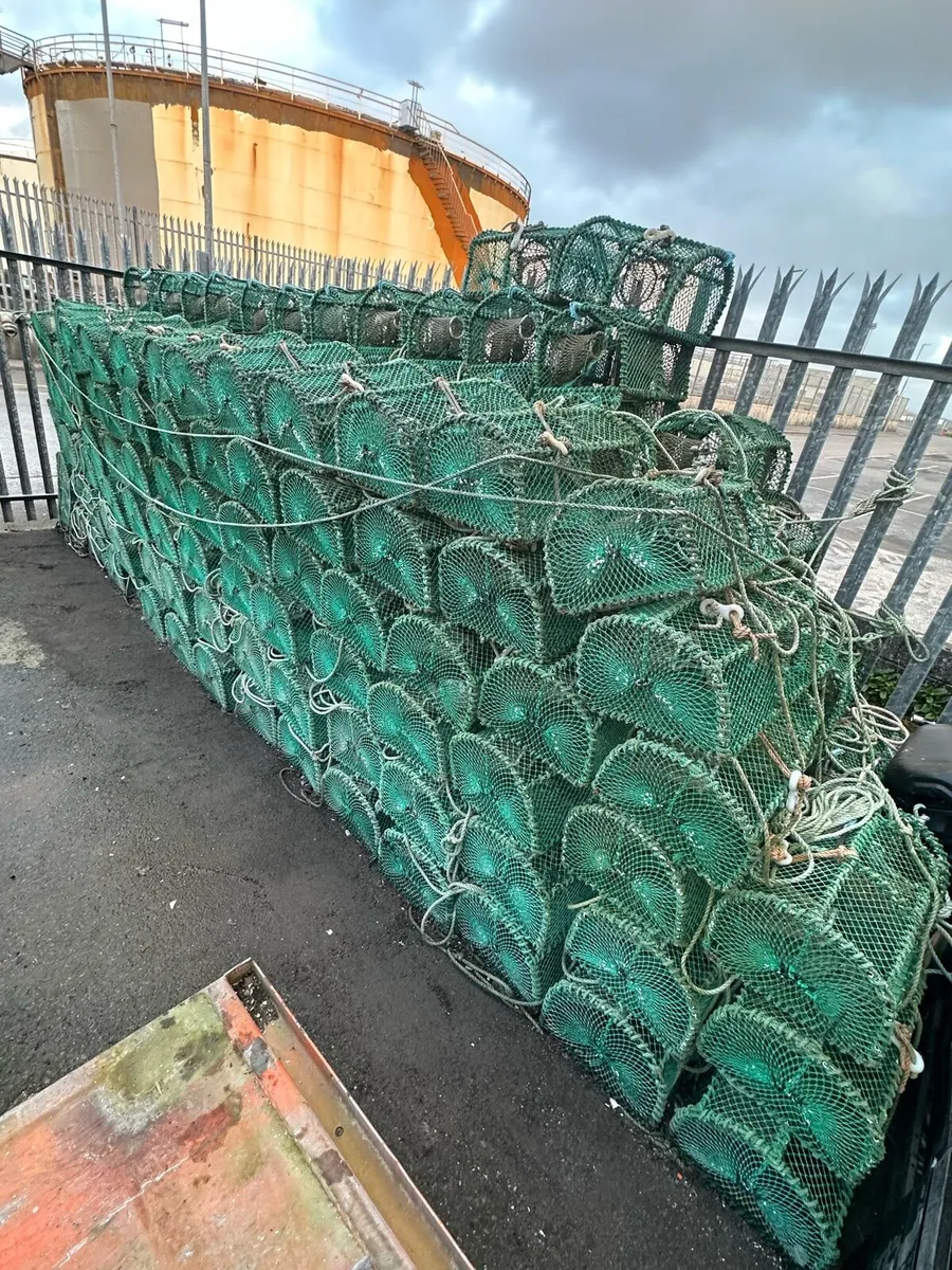 Prawn/velvet pots - Image 4