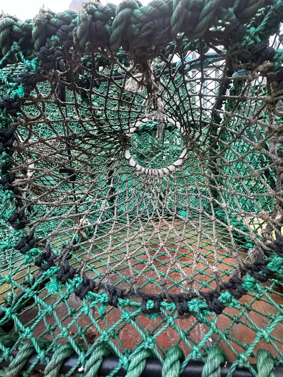 Prawn/velvet pots - Image 3