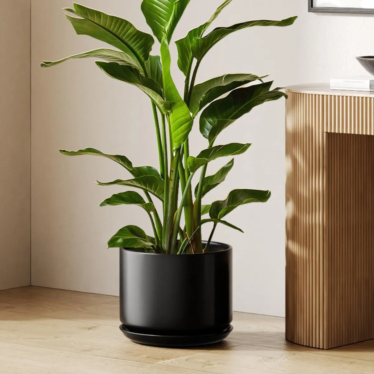 30 cm Plant Pot Large Ceramic Pots for Indoor - Image 1