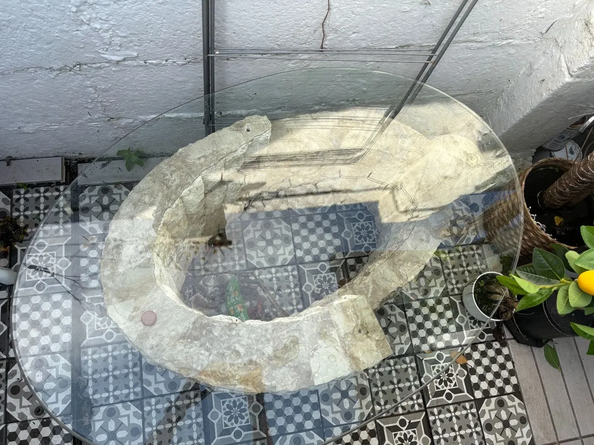 Marble glass table - Image 3
