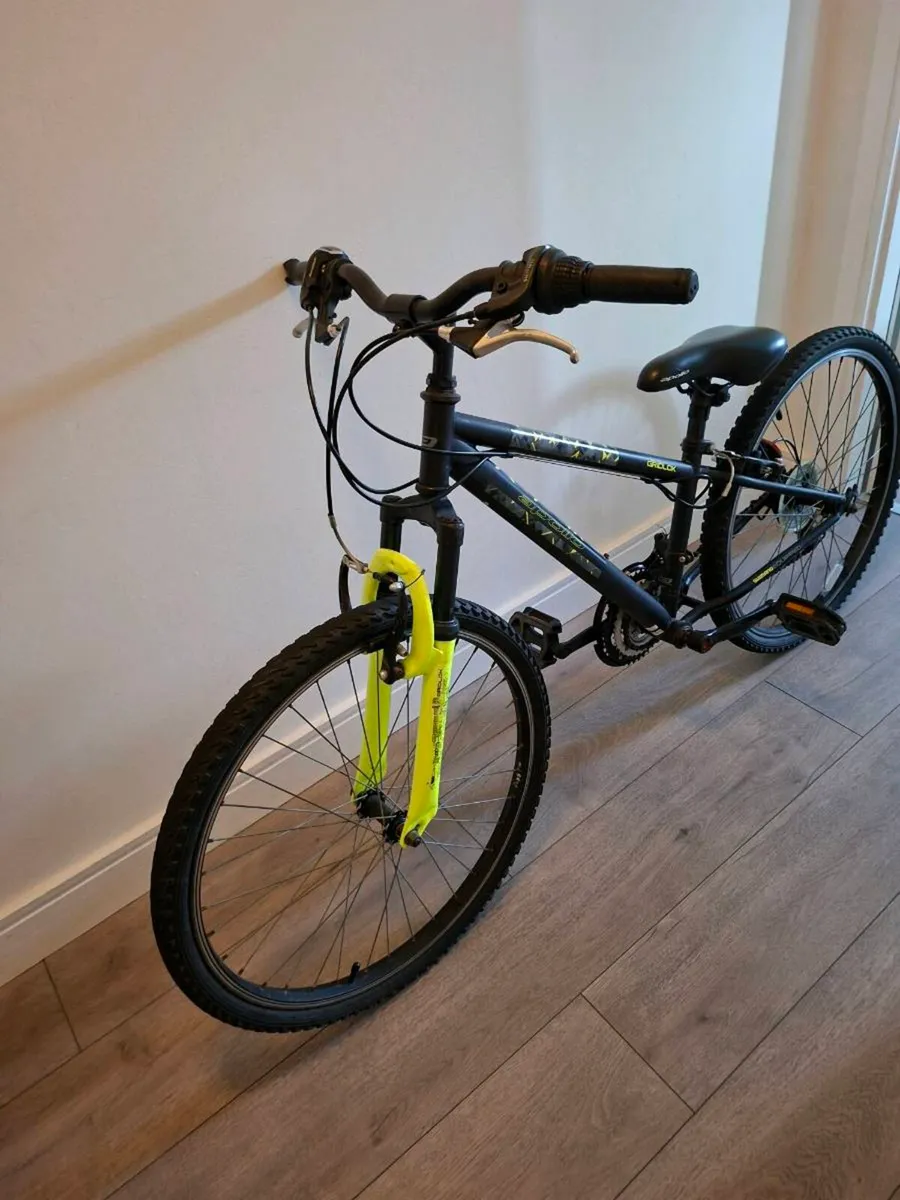 Kids 20" mountain bike - Image 1