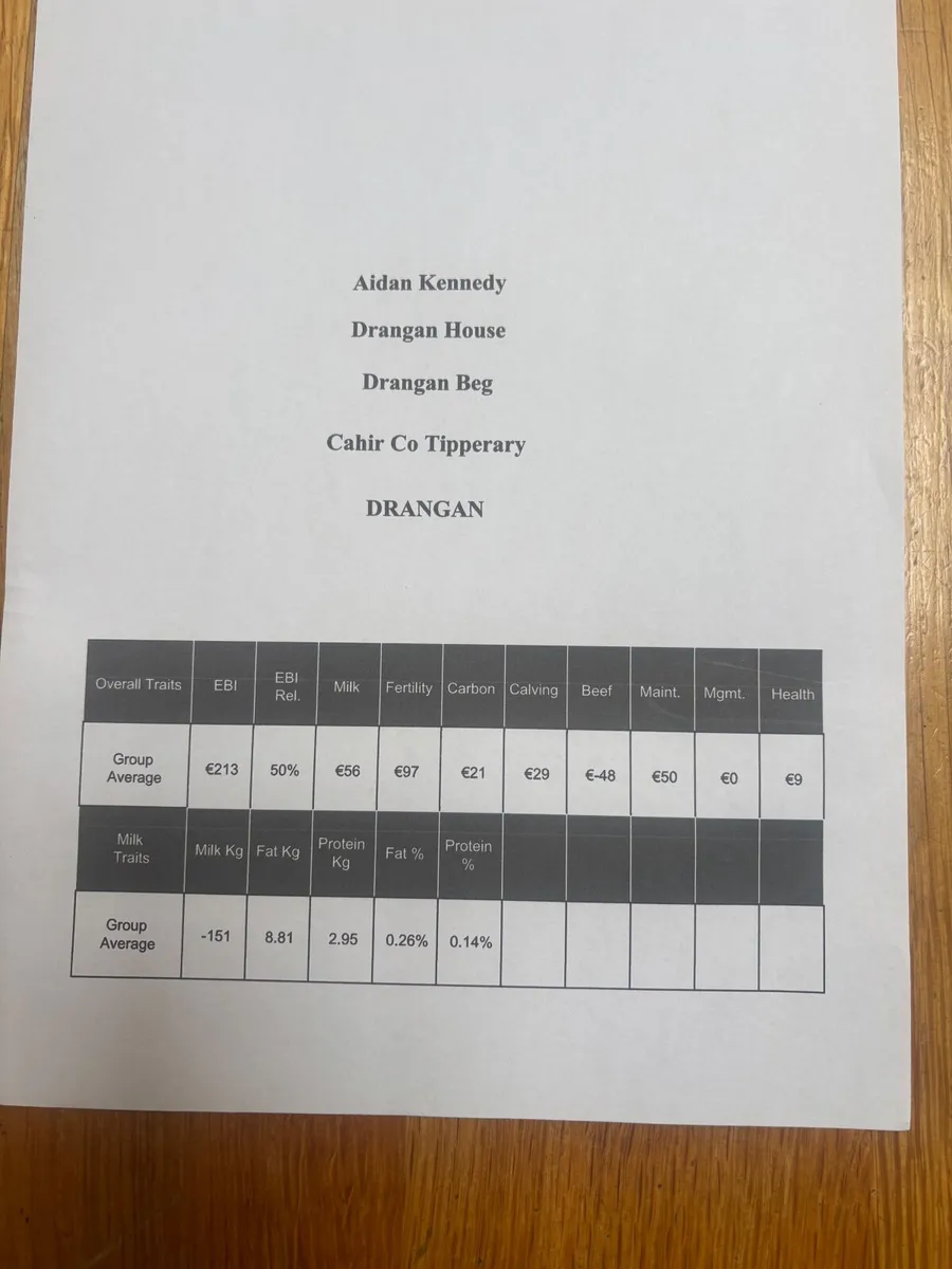 Friesian X Heifer Calves for sale - Image 3