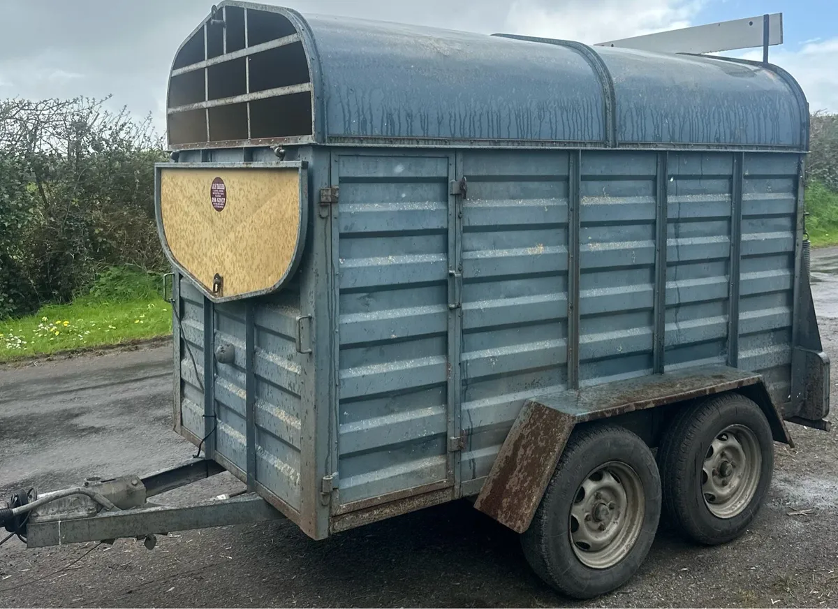8 x 5 Cattle Trailer - Image 1