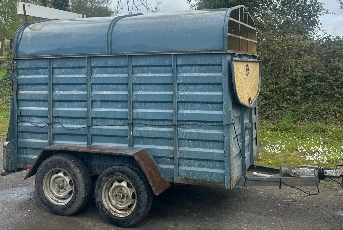 8 x 5 Cattle Trailer - Image 2