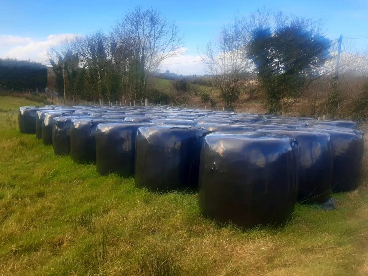 Silage bales - Image 3