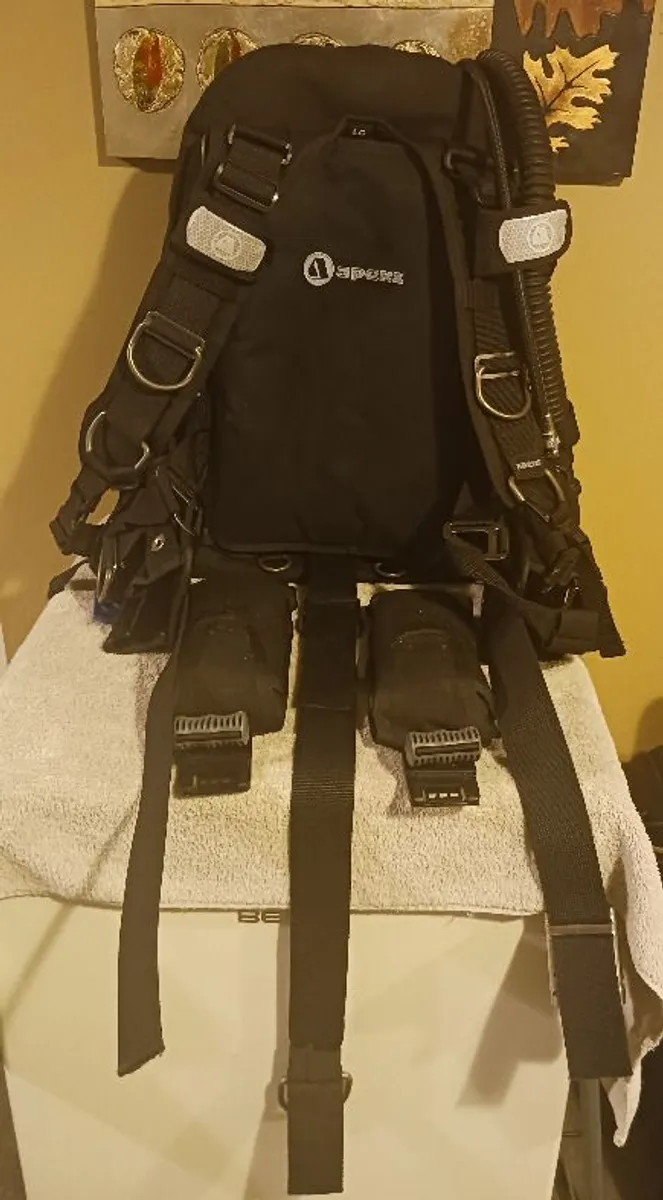 Apeks WTX Harness & Wing - Image 2