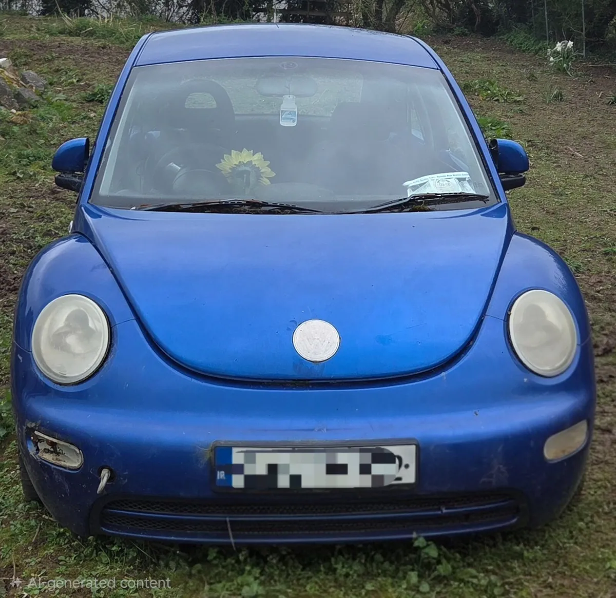Volkswagen Beetle 1.9 TDI - Image 2