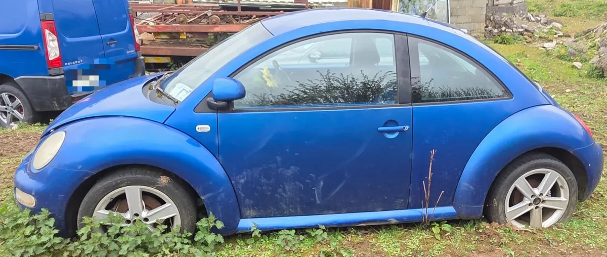 Volkswagen Beetle 1.9 TDI - Image 4