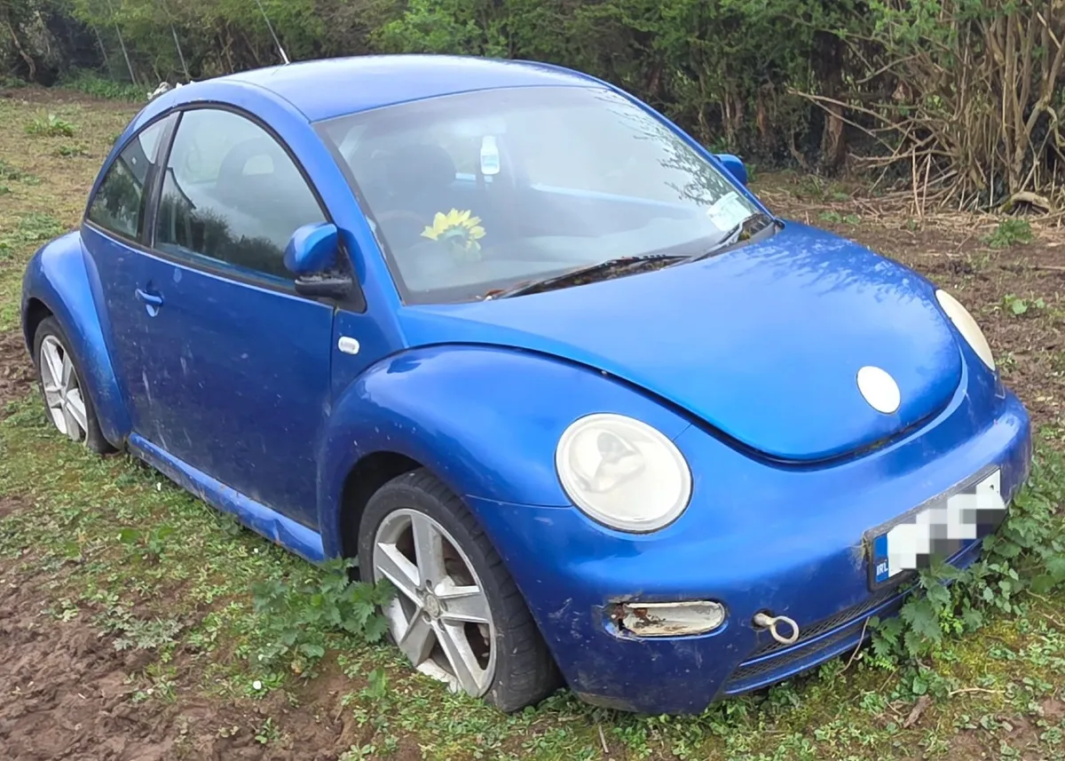 Volkswagen Beetle 1.9 TDI - Image 1