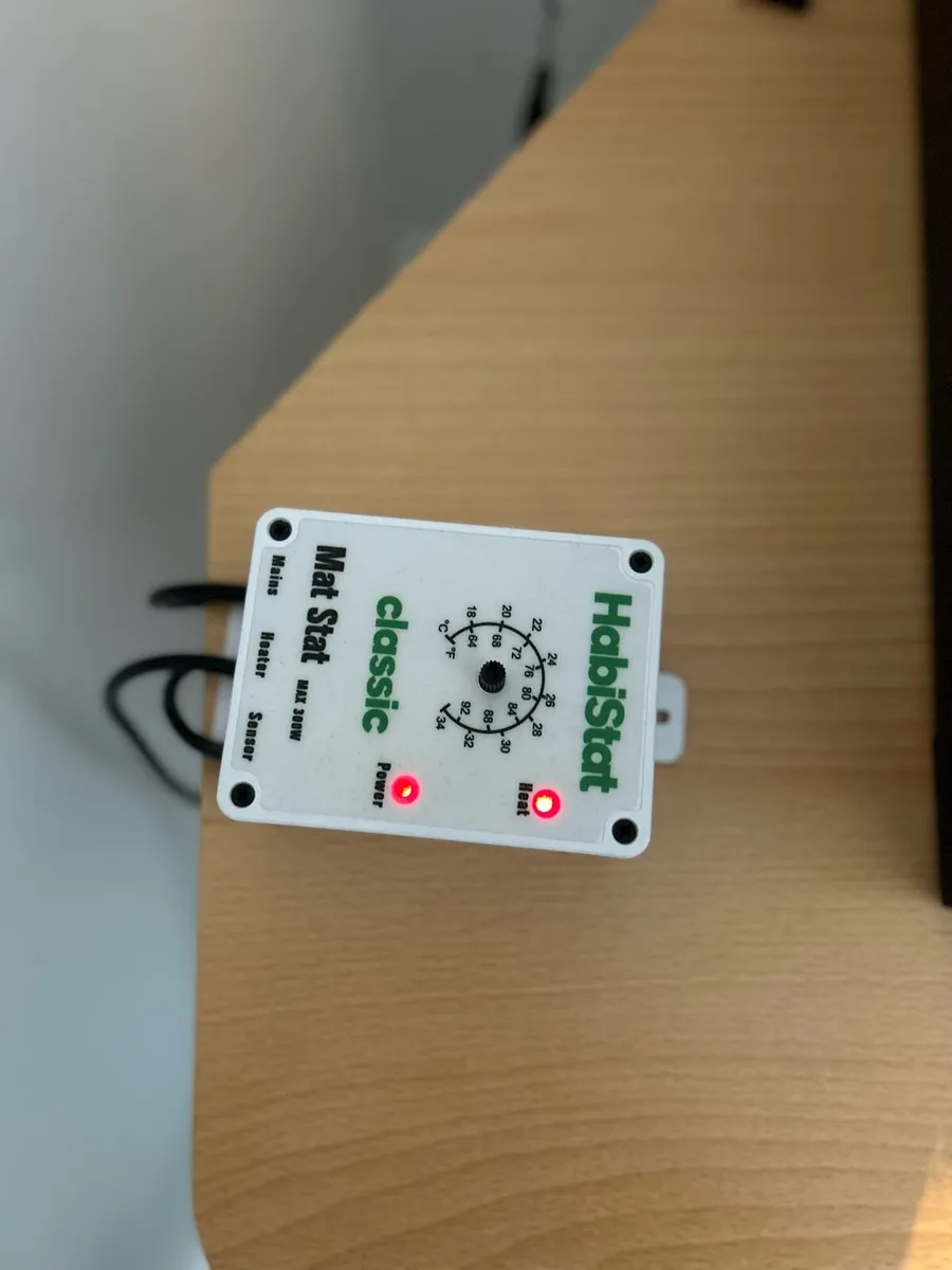 Hatchling Snake Starter Kit - Image 2