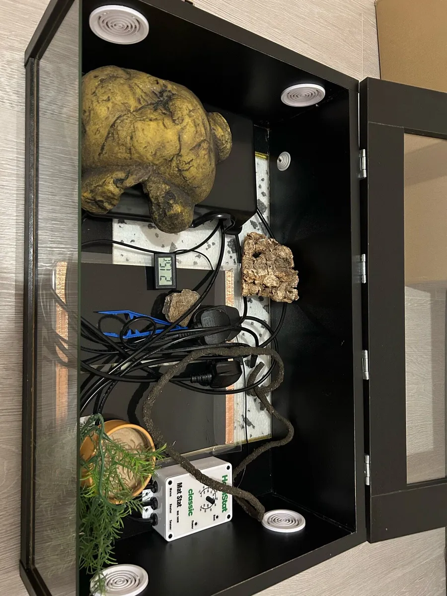 Hatchling Snake Starter Kit - Image 3