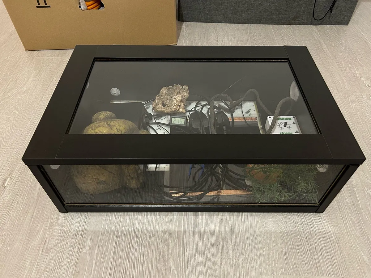 Hatchling Snake Starter Kit - Image 4