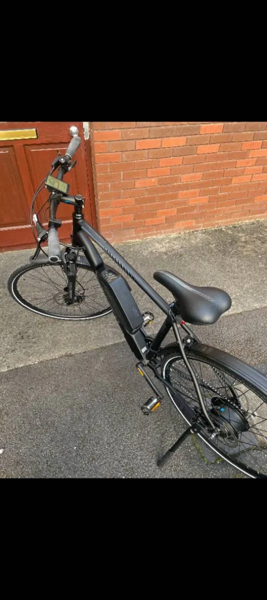 Electric Bike - Image 2