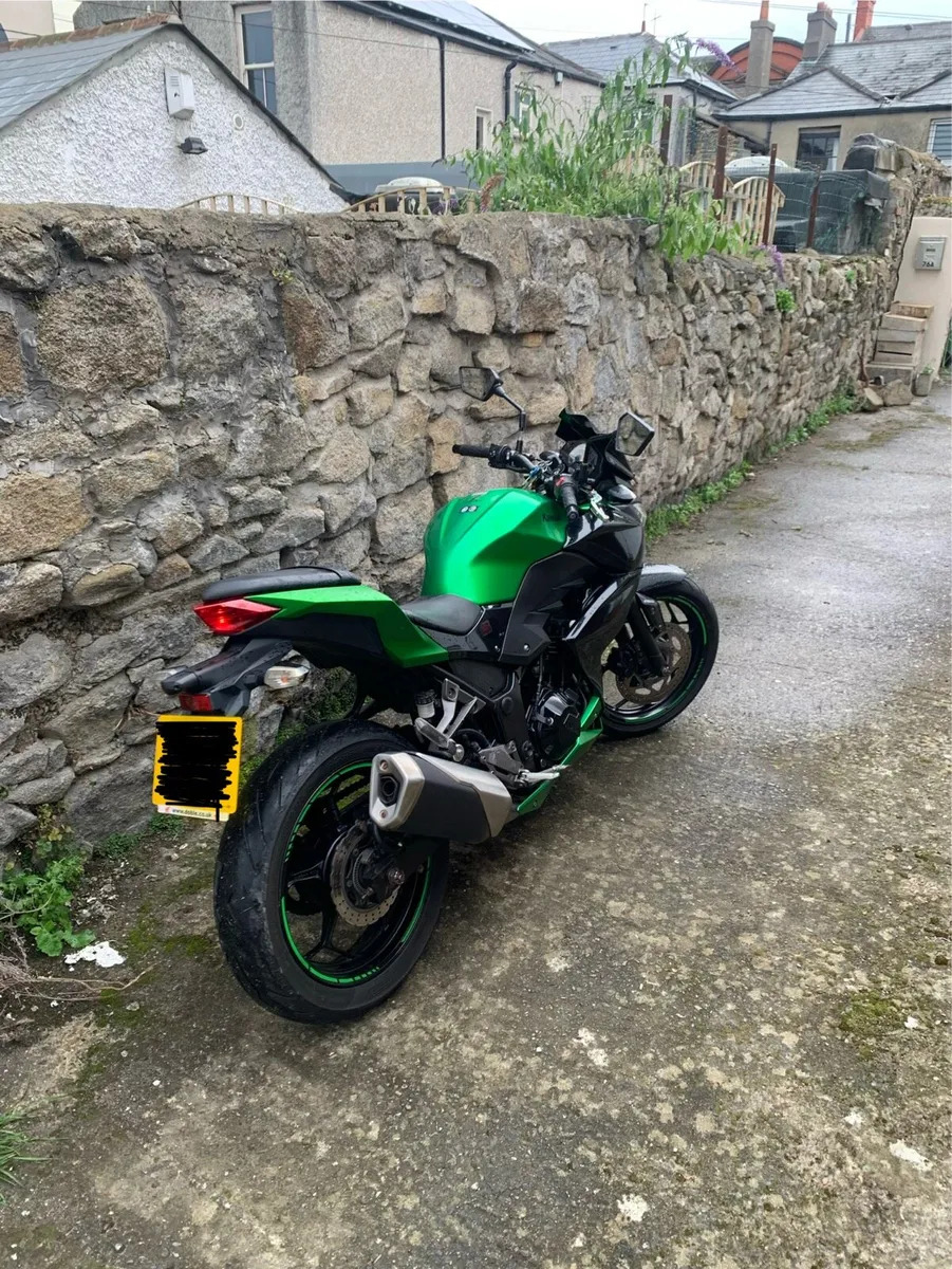 Kawasaki Z300 - Image 2