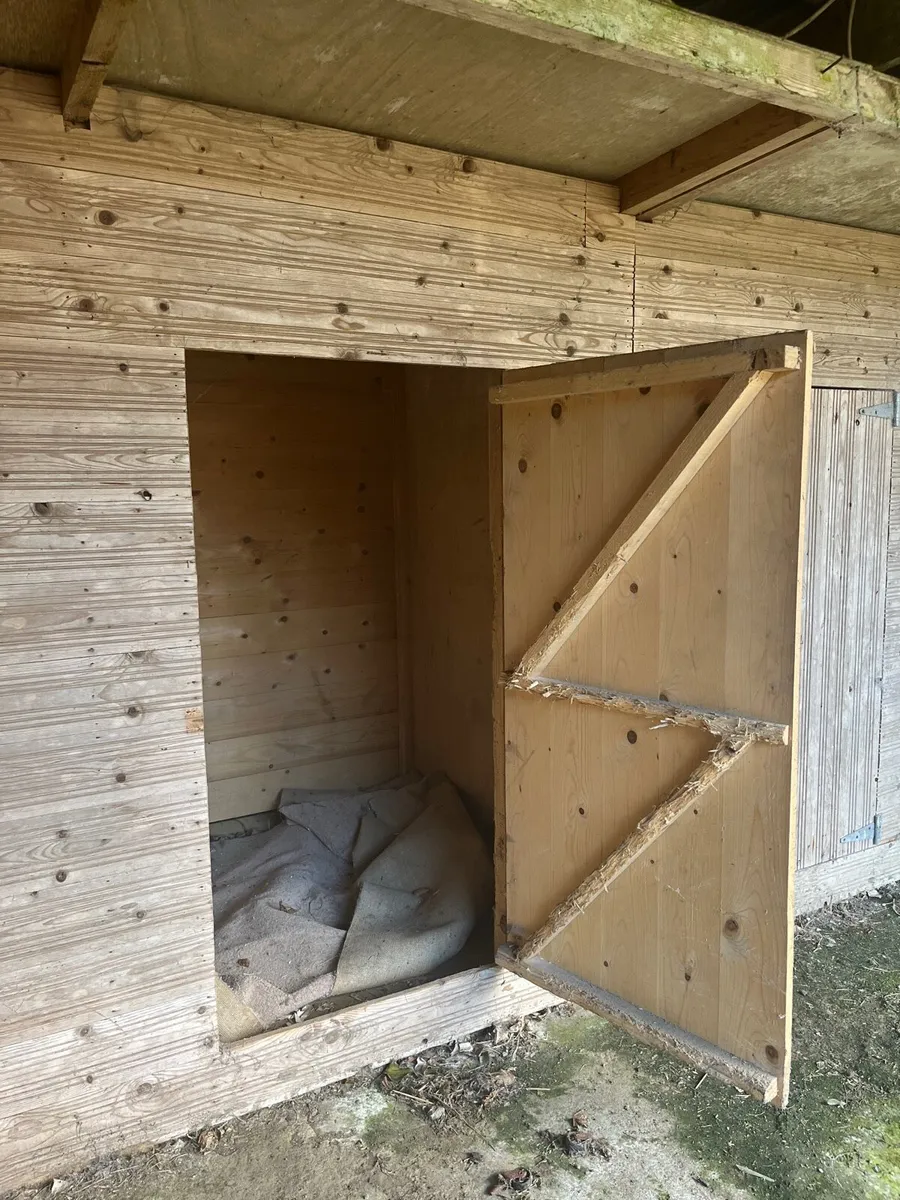 XL Dog Kennels / shed hand made - Image 2