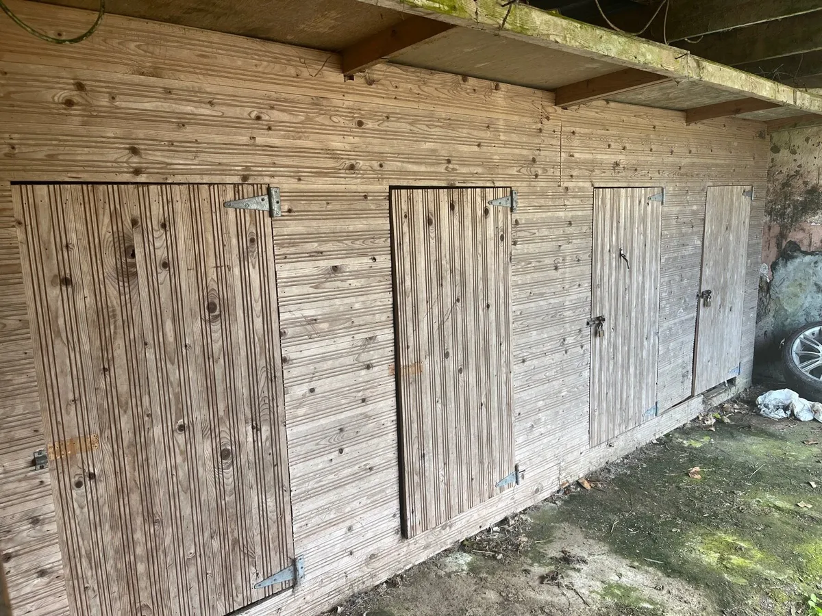 XL Dog Kennels / shed hand made - Image 3