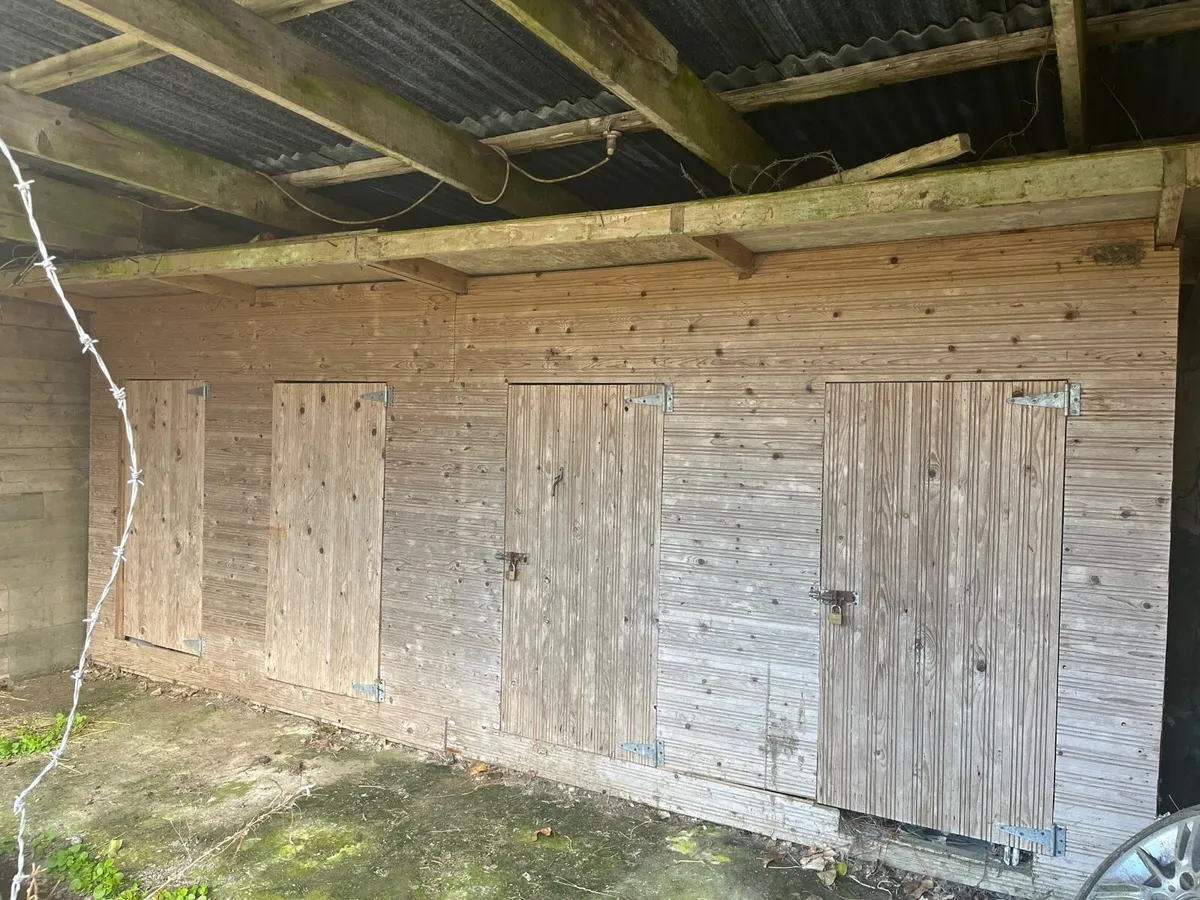 XL Dog Kennels / shed hand made - Image 1