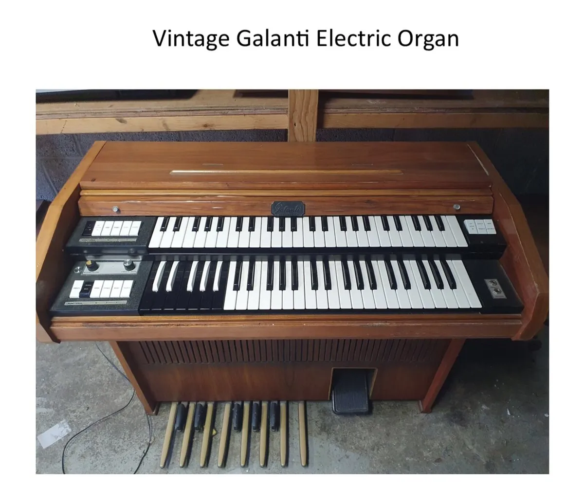 𝗘𝗹𝗲𝗰𝘁𝗿𝗶𝗰 𝗢𝗿𝗴𝗮𝗻 - Image 1