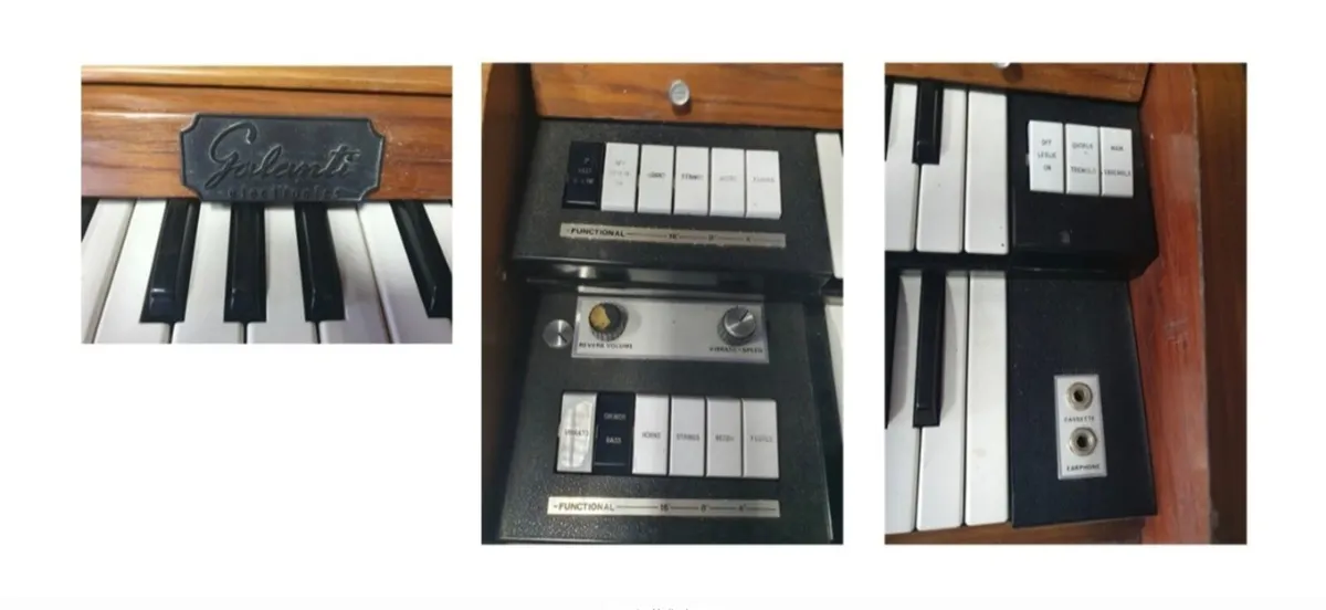 𝗘𝗹𝗲𝗰𝘁𝗿𝗶𝗰 𝗢𝗿𝗴𝗮𝗻 - Image 2