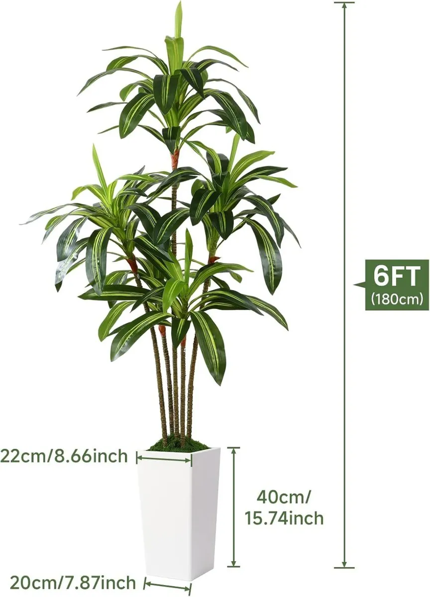 6FT Artificial Dracaena Tree with White Tall Pot - Image 3