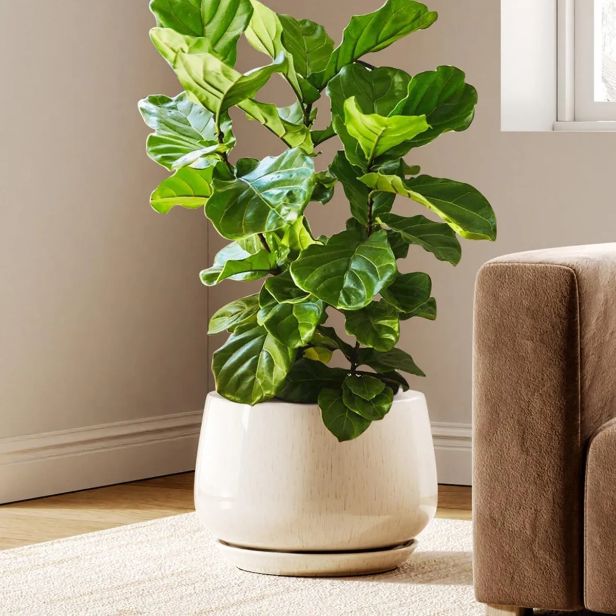 Ceramic Plant Pots 30 cm Pot Indoor with Drainage - Image 1