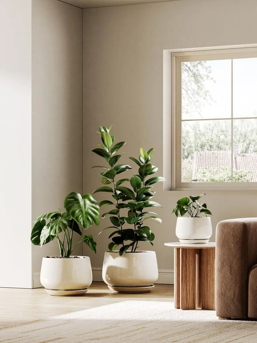 Ceramic Plant Pots 30 cm Pot Indoor with Drainage - Image 2