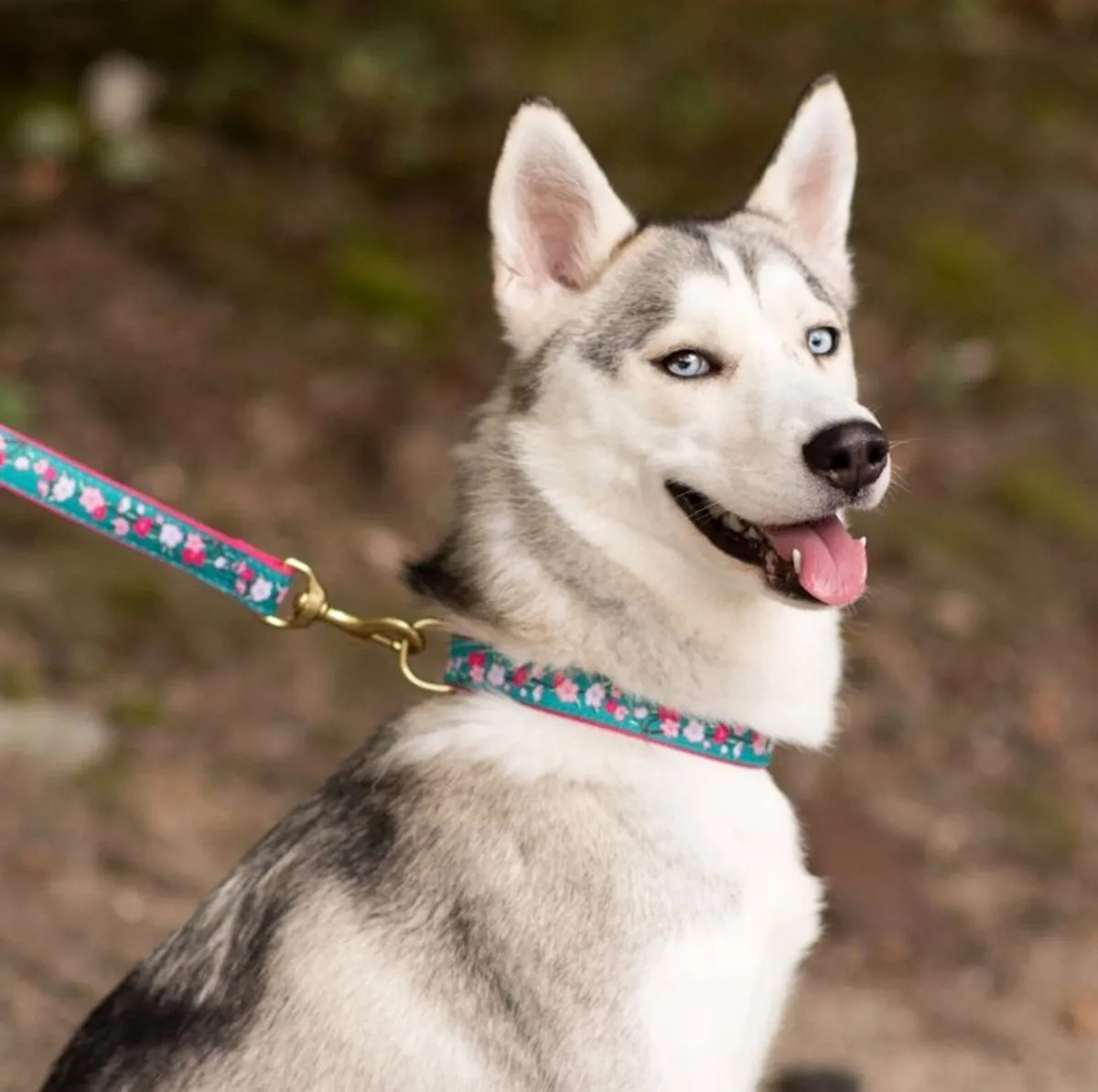 Hand Crafted Luxury "CHERRY BLOSSOM" Collar & Lead - Image 2