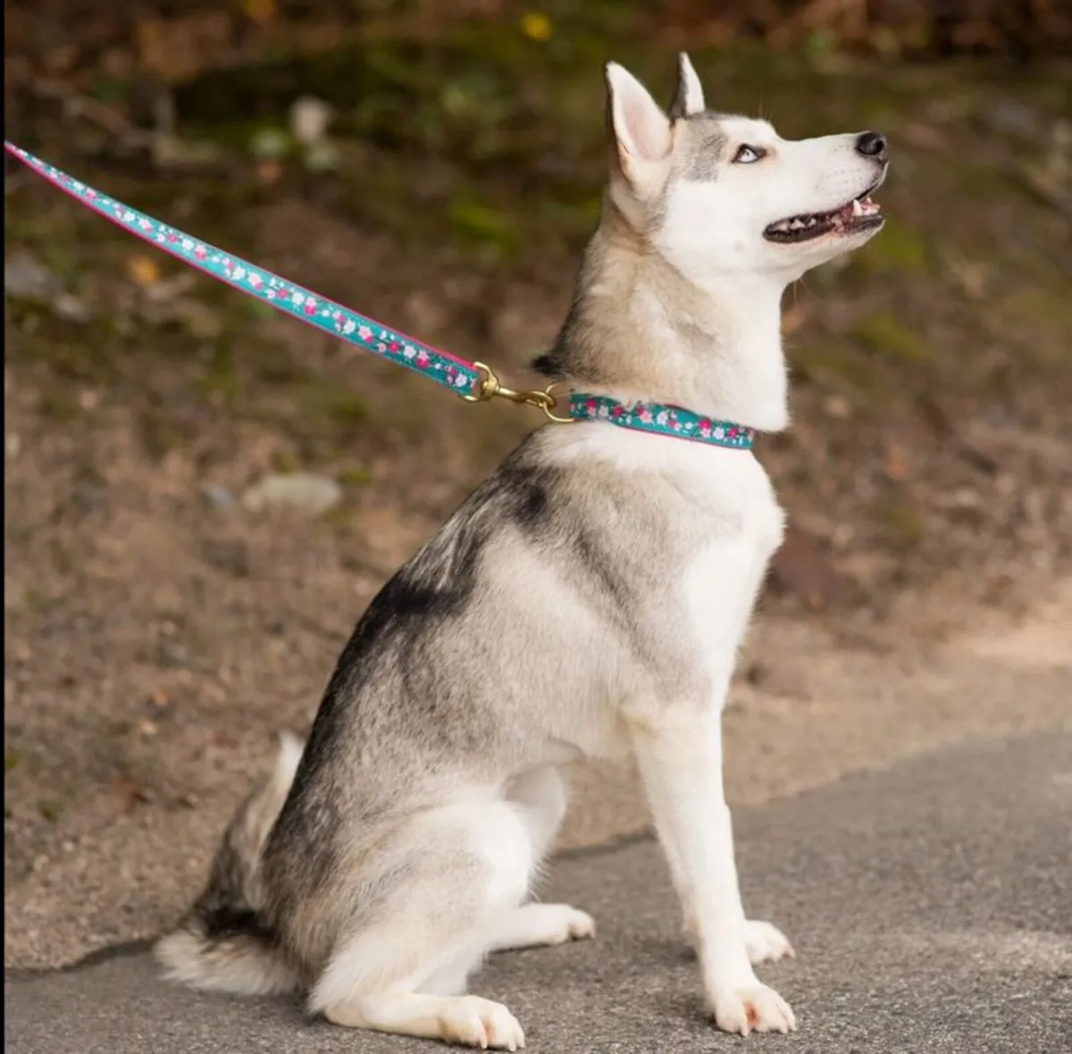 Hand Crafted Luxury "CHERRY BLOSSOM" Collar & Lead - Image 4