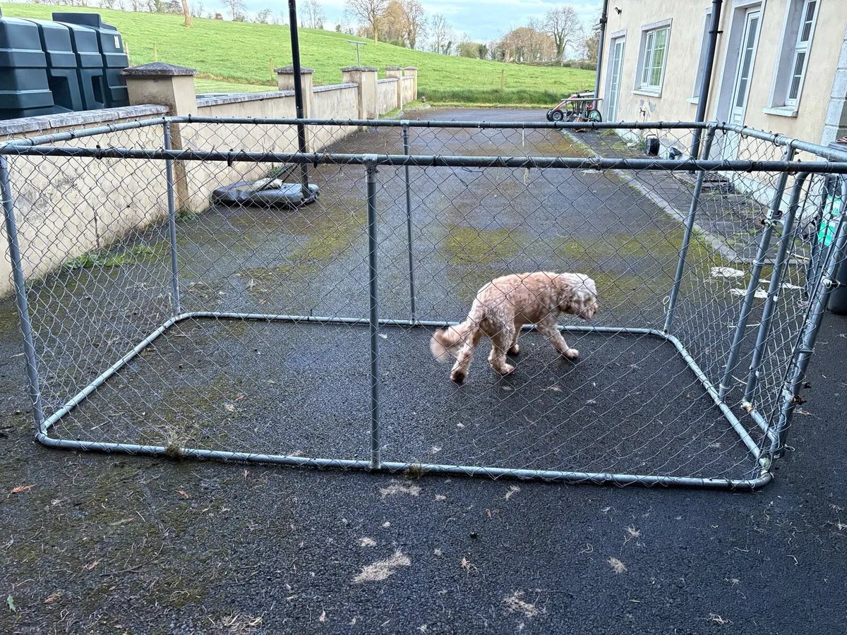 Large Dog Kennel - Image 3