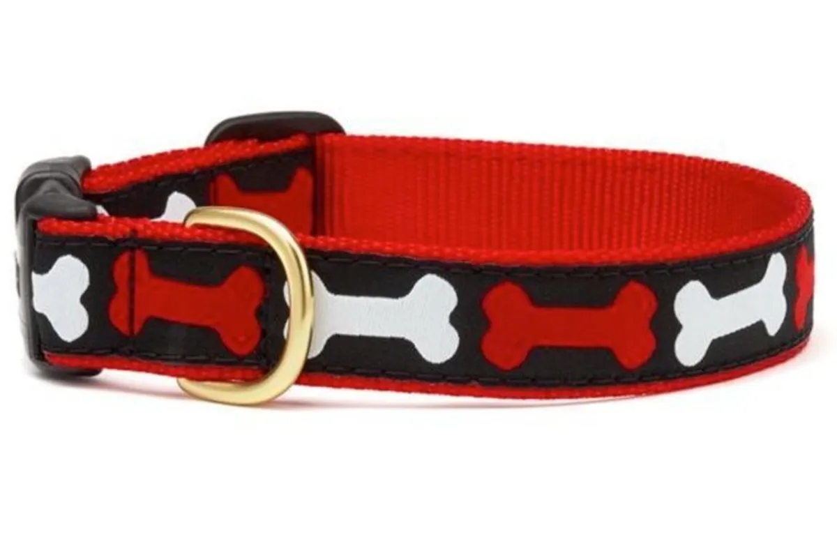 Hand Crafted "NO BONES ABOUT IT " Collar & Lead - Image 1