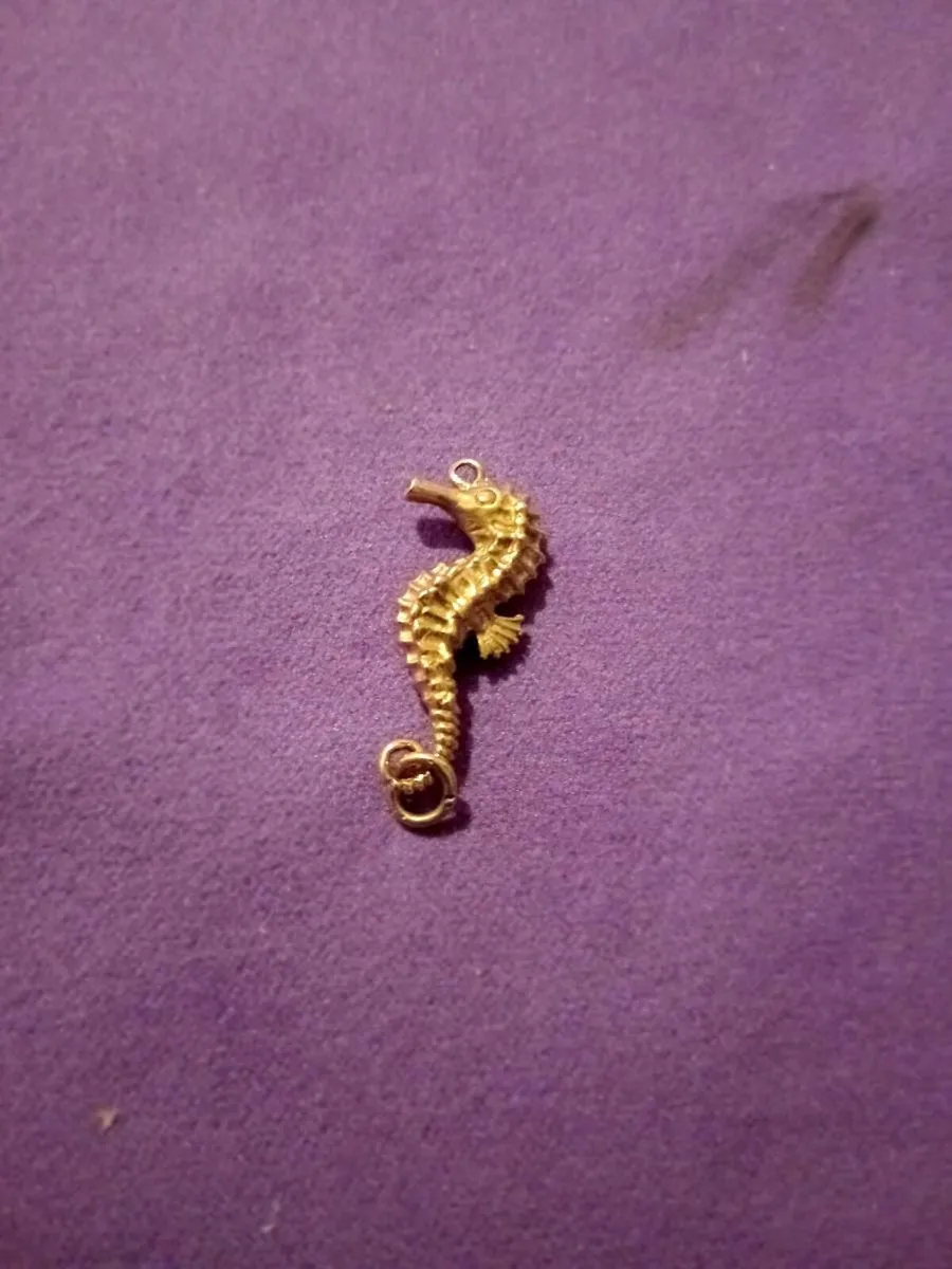9ct gold seahorse charm