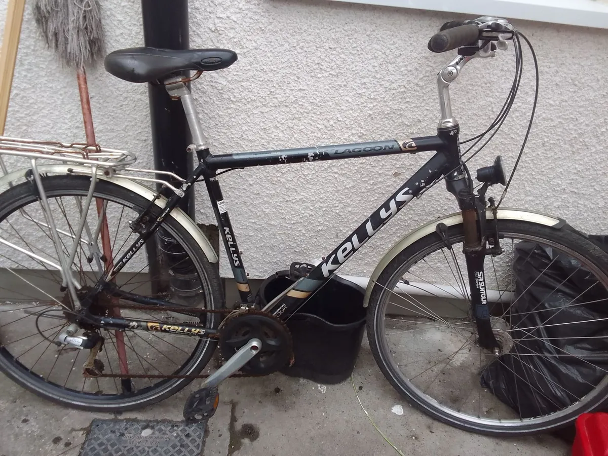adult bike for sale
