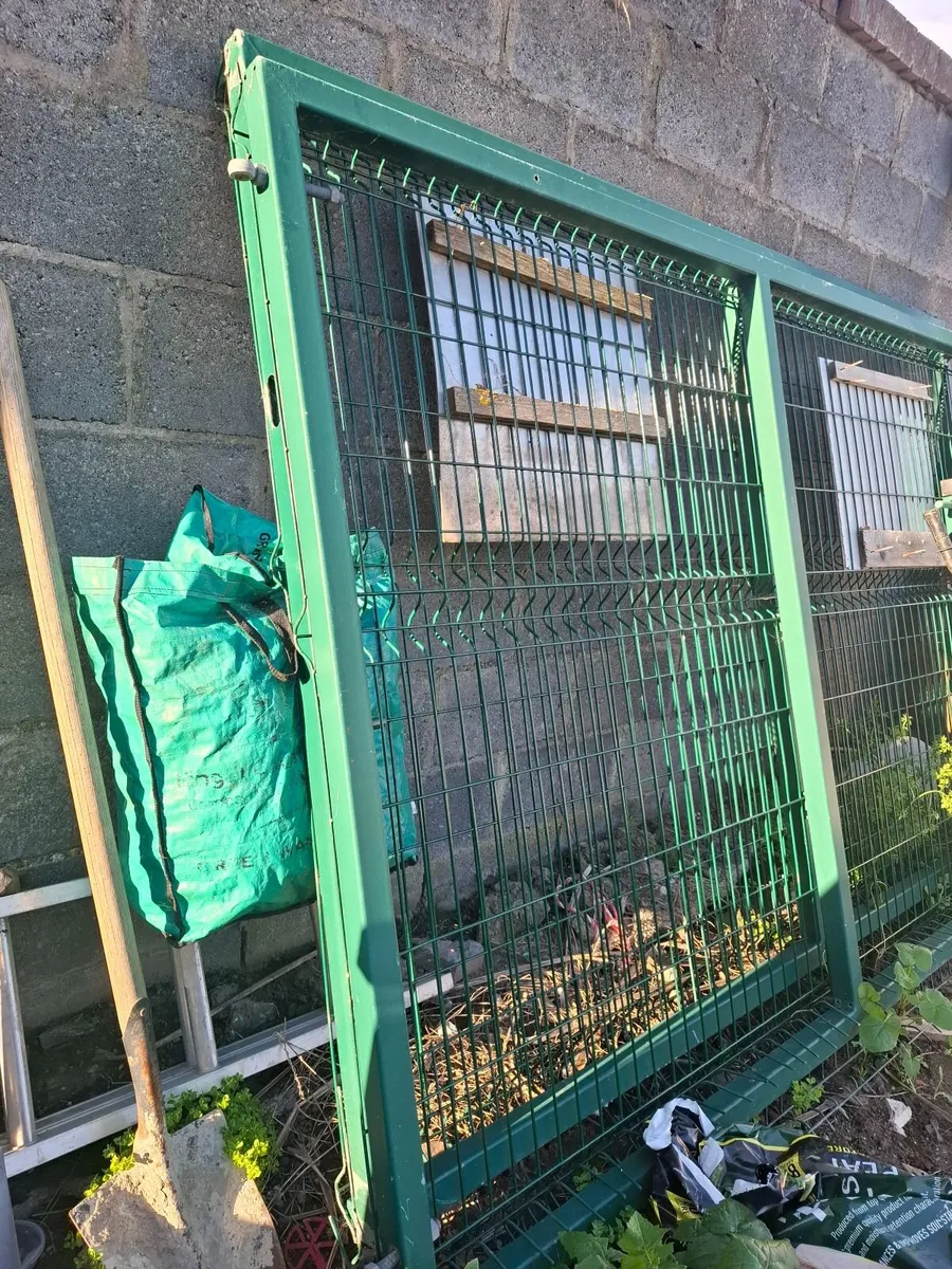 Steel Gates/Pallet Truck - Image 3