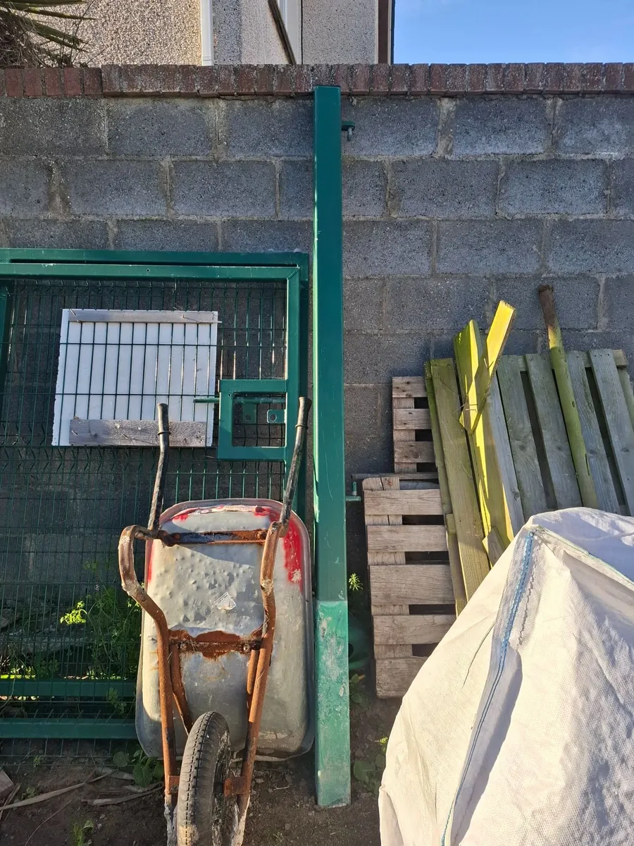 Steel Gates/Pallet Truck - Image 2