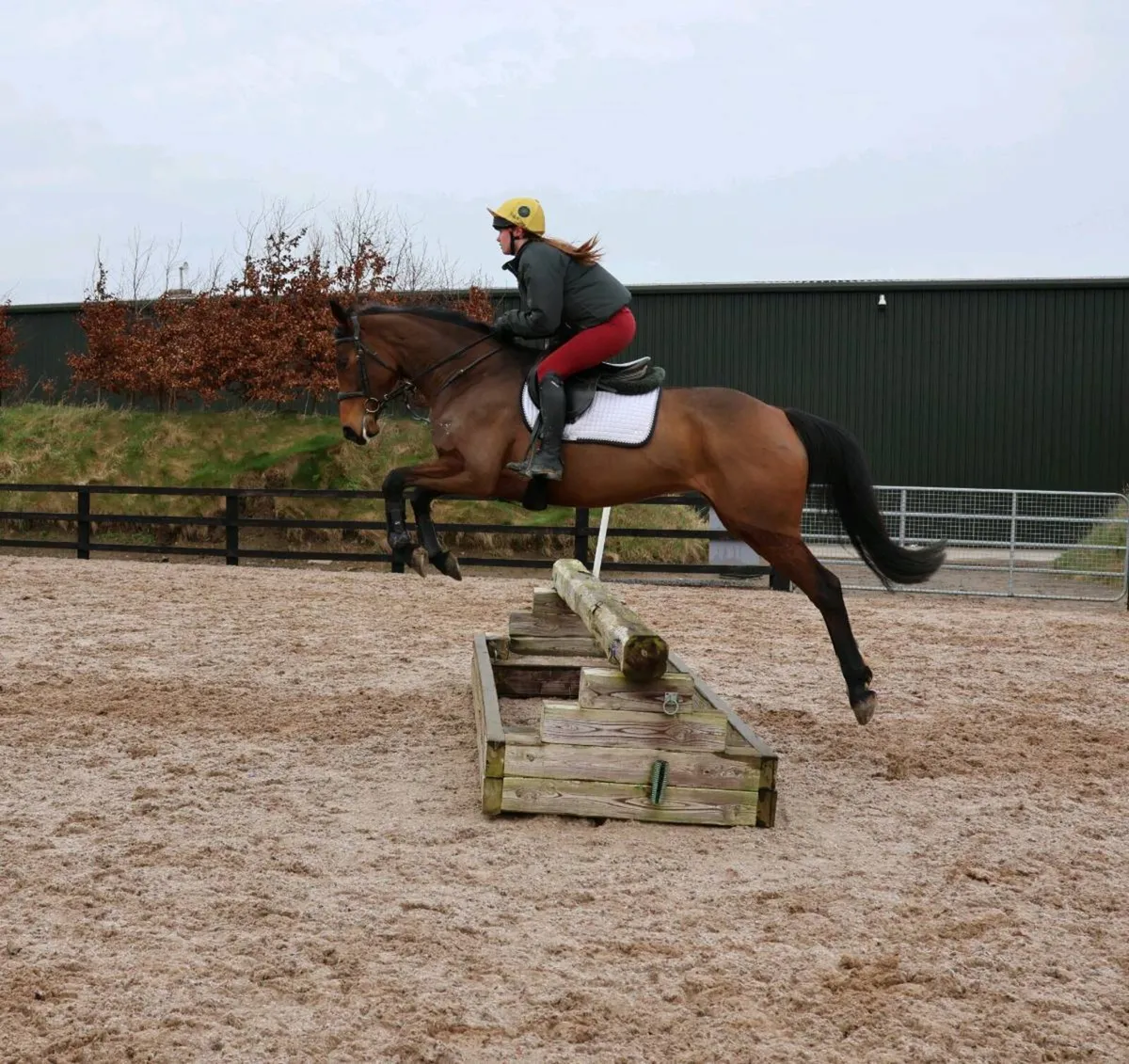 Lovely genuine allrounder - Image 2